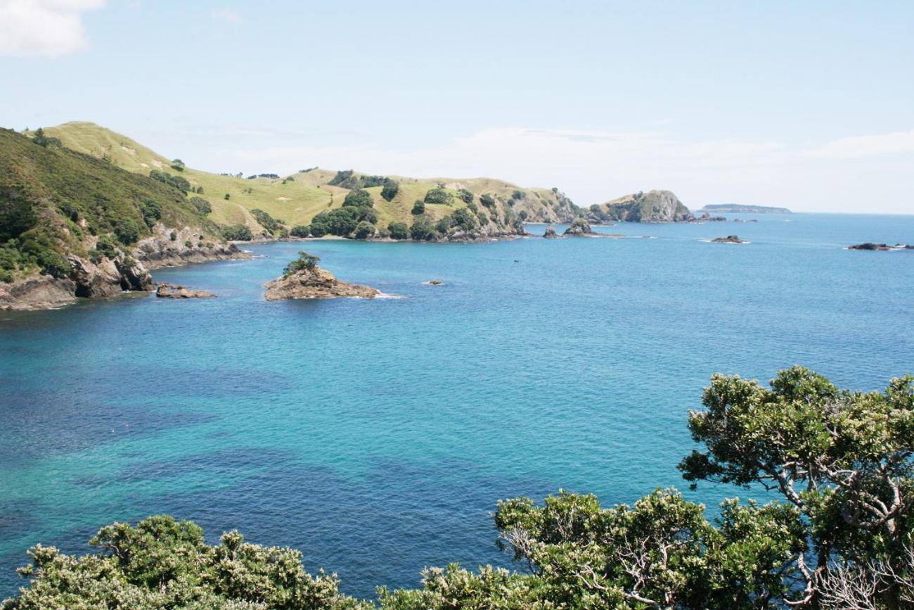 דירות Opua Perfect Base In The Bay Of Islands מראה חיצוני תמונה